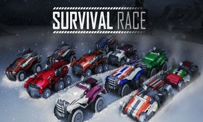 game pic for Survival Race